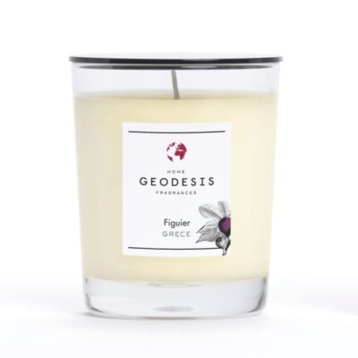 Classic Candle FIG TREE