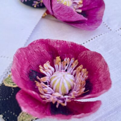 Medium Anemone Brooches