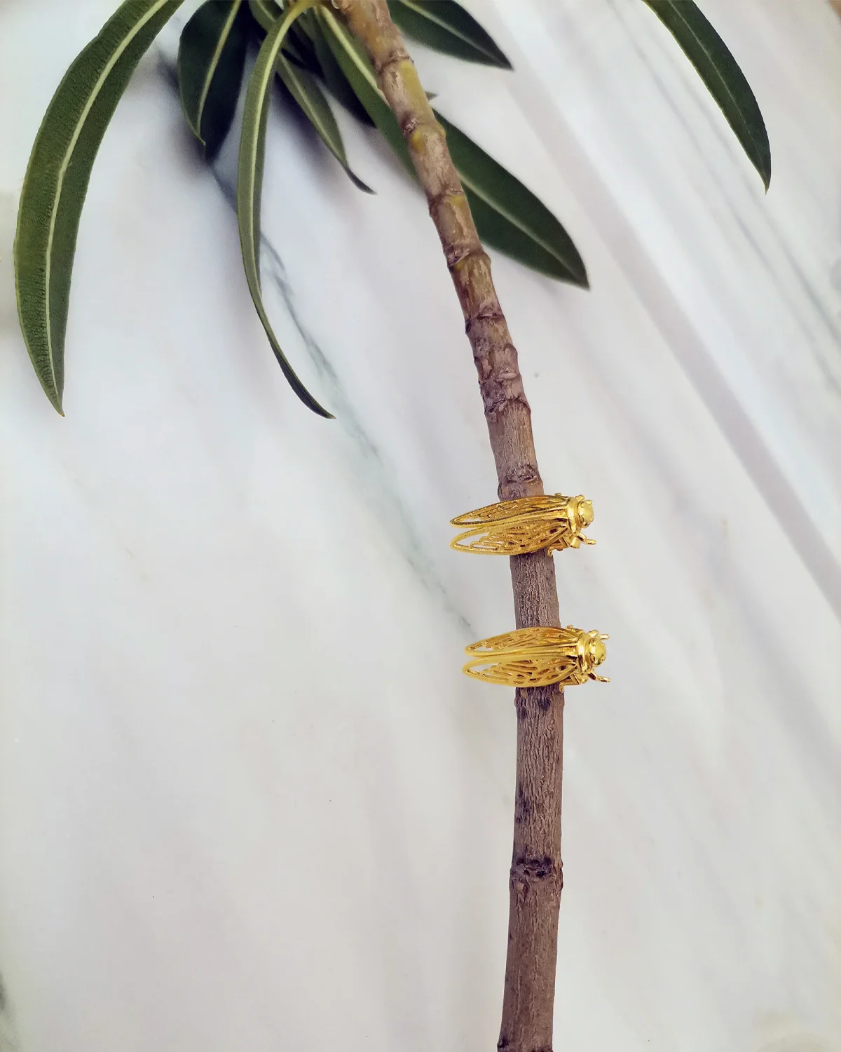 Cicada(Τζιτζίκι) Large Goldplated Studs - Image 3