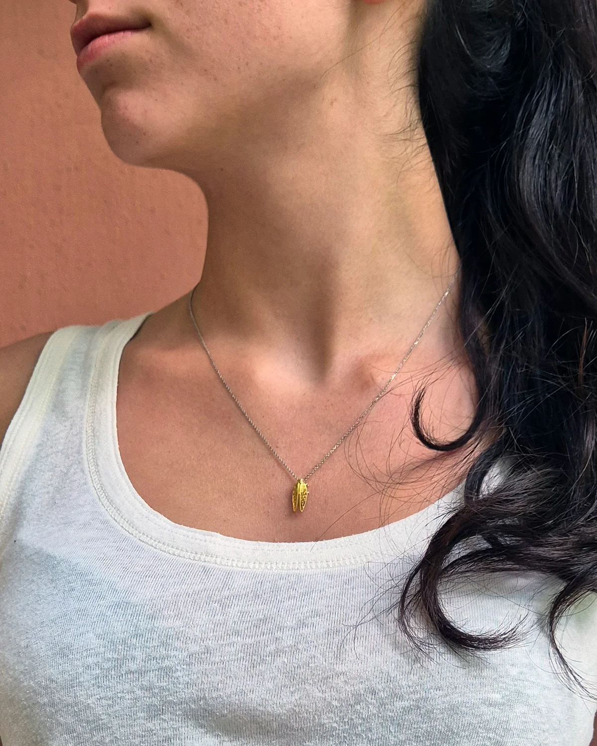Cicada (Τζιτζίκι) "Μην σκας" Necklace - Image 5
