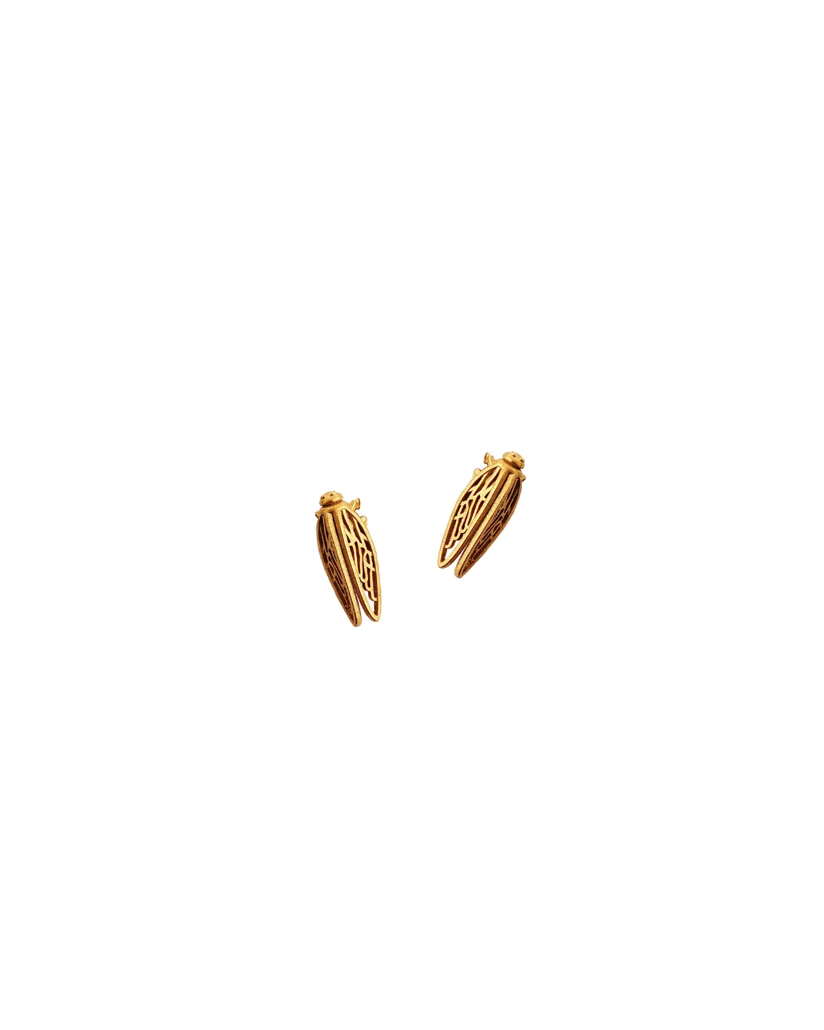 Cicada(Τζιτζίκι) "Μη σκάς" Small Goldplated Studs